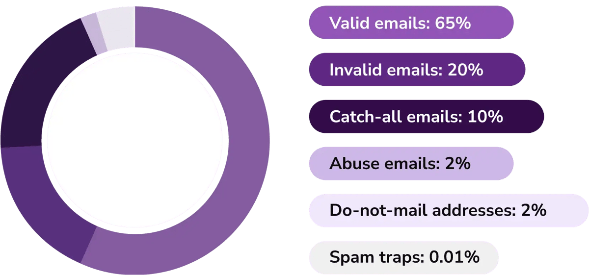 Graph using shades of purple shows ZeroBounce bulk email verification results identified in 2024, using percentages and categories.
