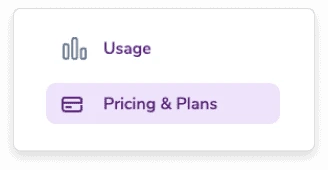 The ZeroBounce dashboard with the Pricing & Plans page selected.